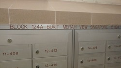 Blk 124A Bukit Merah View (Bukit Merah), HDB 4 Rooms #179842342